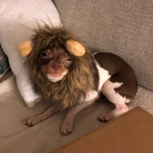 Meet your Posher, Shawna